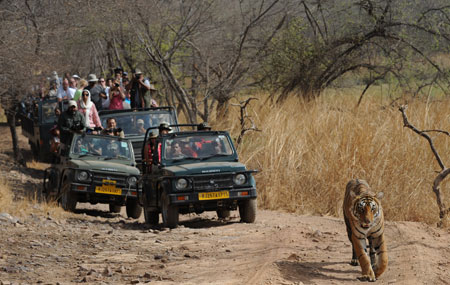 golden-triangle-tour-with-bharatpur-and-ranthambore-small