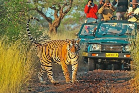 From Delhi: 6-Day Golden Triangle Tour with Ranthambore